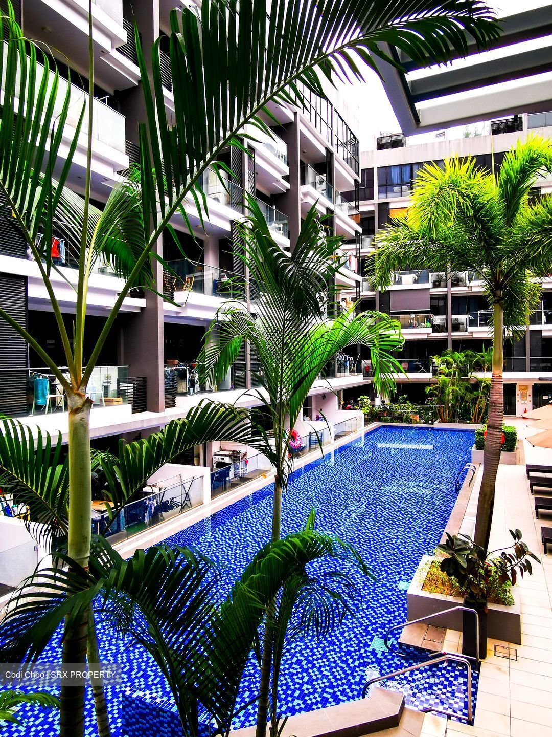 Guillemard Edge (D14), Apartment #460305811